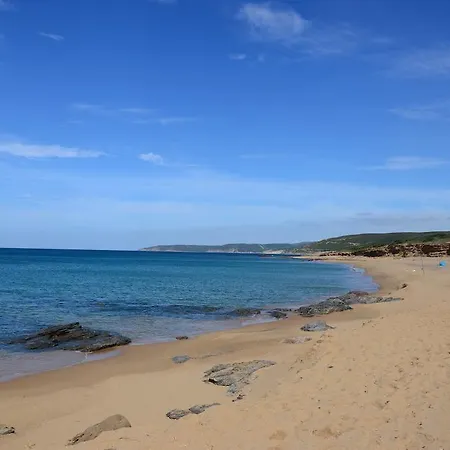 Costa Arbus