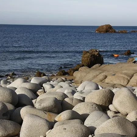 Costa Arbus