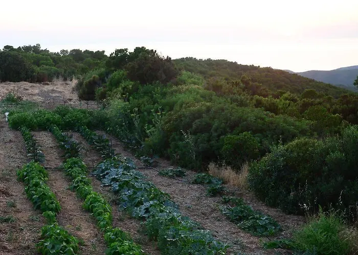 Frühstückspension Costa